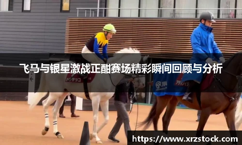 飞马与银星激战正酣赛场精彩瞬间回顾与分析